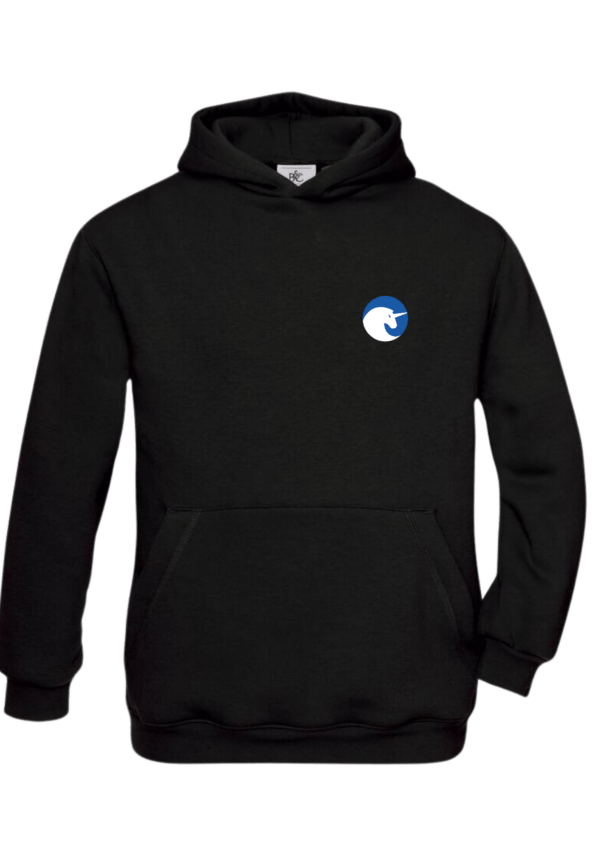 Sweat à capuche Enfant - Licornes DBG